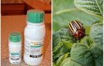 Means Aktar from the Colorado potato beetle