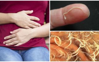 The effects of pinworms for humans