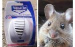 Ultrasonic repeller from rats and mice Clean house