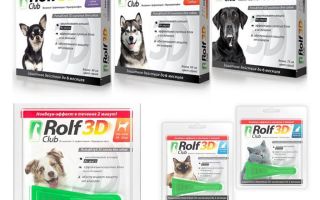 Drops Rolf Club 3D from fleas for dogs and cats