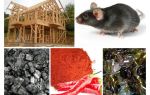Protection of the frame house against mice
