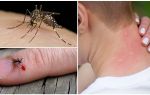 What if a mosquito bites
