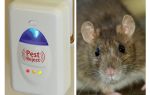 Pest Redzhekt ultrasonic repeller rodents and insects