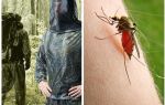 Clothes from mosquitoes, ticks and midges - an overview