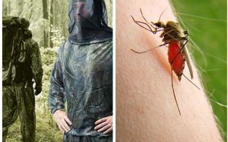 Clothes from mosquitoes, ticks and midges - an overview