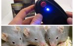 Repeller mice and rats Elektrokot