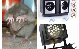 Rodent Ultrasonic Repellers
