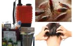 What is an anti-pediculosis kit?