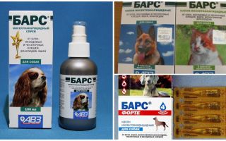 Leopard against ticks for dogs and cats