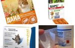 The best flea remedies for cats
