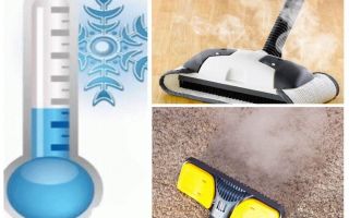 How to get rid of carpet fleas insecticides and improvised means