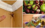 Methods and tools for spiders in an apartment or private house