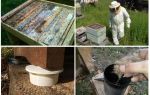 How to get rid of ants in the apiary folk remedies