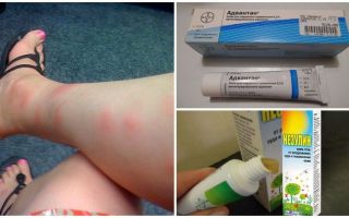 Why in adults and children after the bites of mosquitoes appear bumps than to treat
