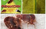 Powder Phenaxin from bedbugs