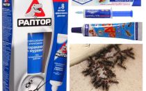The best ant products