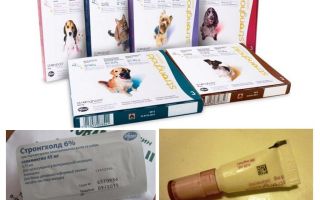 Flea Stronghold Drops for Dogs and Cats