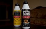GEKTOR against bed bugs and crawling insects