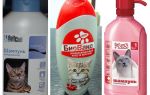 Flea shampoos for kittens and cats