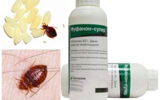 Fufanon remedy for bedbugs
