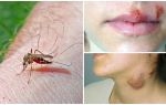 What diseases do mosquitoes suffer