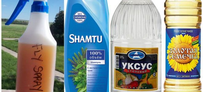 Do-it-yourself mosquito repellent shampoo + vinegar