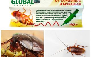 Cockroach Remedy Global (Global)