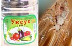 How to remove vinegar lice and nits