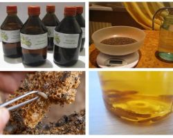 Tincture wax moth indications and contraindications