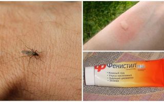 How and how to remove the itch from mosquito bites in a child and an adult