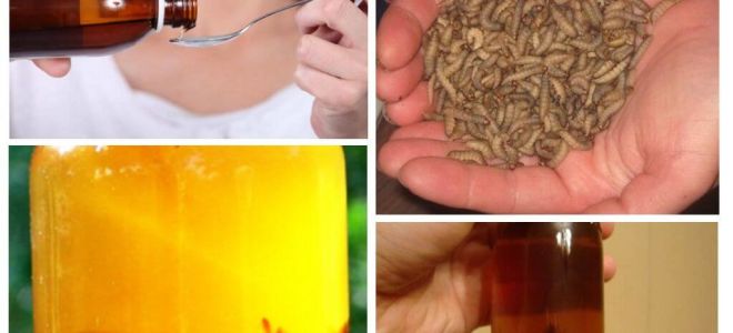 Bee moth tincture: what it treats and how to use it