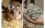 What kind of insulation do not eat mice