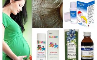How to treat pediculosis during pregnancy and breastfeeding