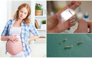 How to treat pinworms in pregnant women