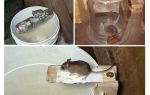 How to make a mousetrap with your own hands
