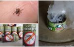 How to protect yourself from ticks, protection from bites