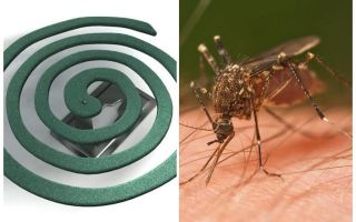 Mosquito coils