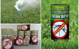 The best smoke checkers for mosquitoes