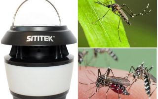 Exterminator of mosquitoes SITITEK Sadovy-M