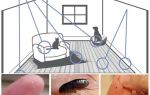 How to remove fleas from an apartment with folk remedies
