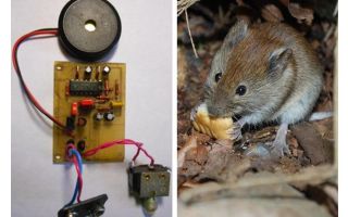 Ultrasonic repeller rats and mice with their own hands