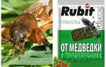 Cuts Rofatoks granules from the bear and wireworm