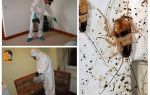Extermination of cockroaches in the apartment