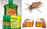 How and what to poison cockroaches at home