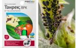 Tanrek remedy for aphids and whitefly