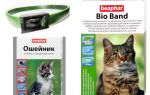 Collar Beafar from fleas for cats and dogs