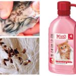 Flea shampoo for kittens