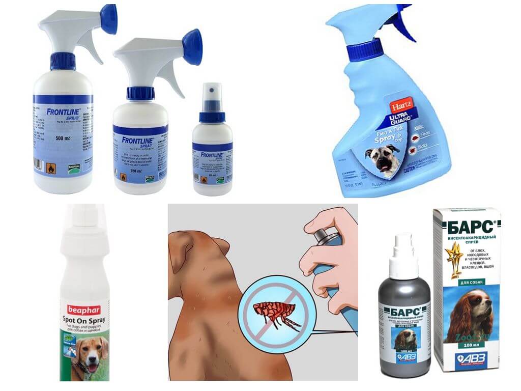 Sprays per a gossos
