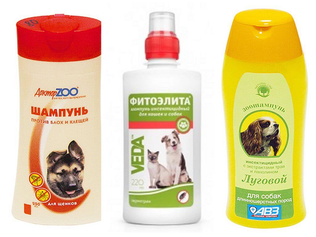 Blechový šampon u psů