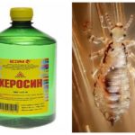 Kerosene for lice